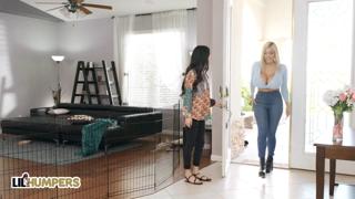 LIL humpers - Busty Blonde Amber Alena Gets Fucked